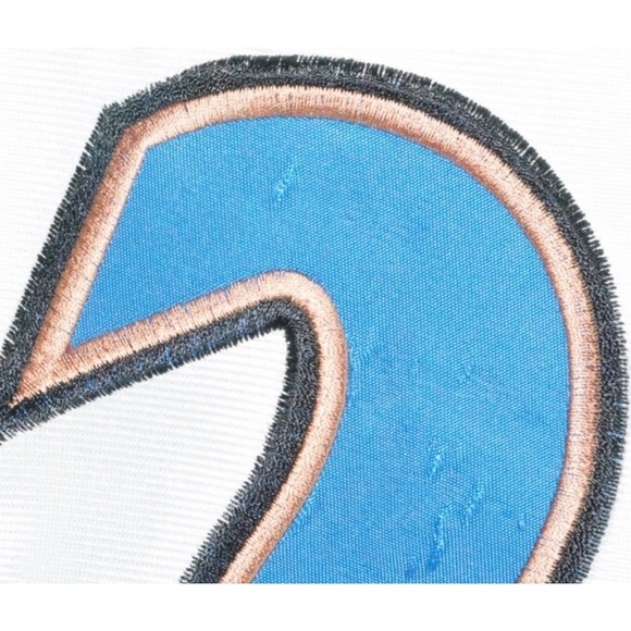 Michael Jordan Washington Wizards Champion Jersey - Picture 8 of 10